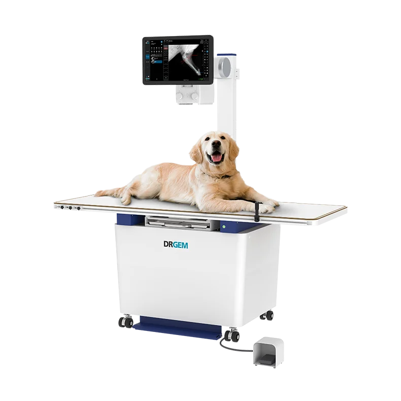 DRGEM VXR-E/EC veterinary X-ray system