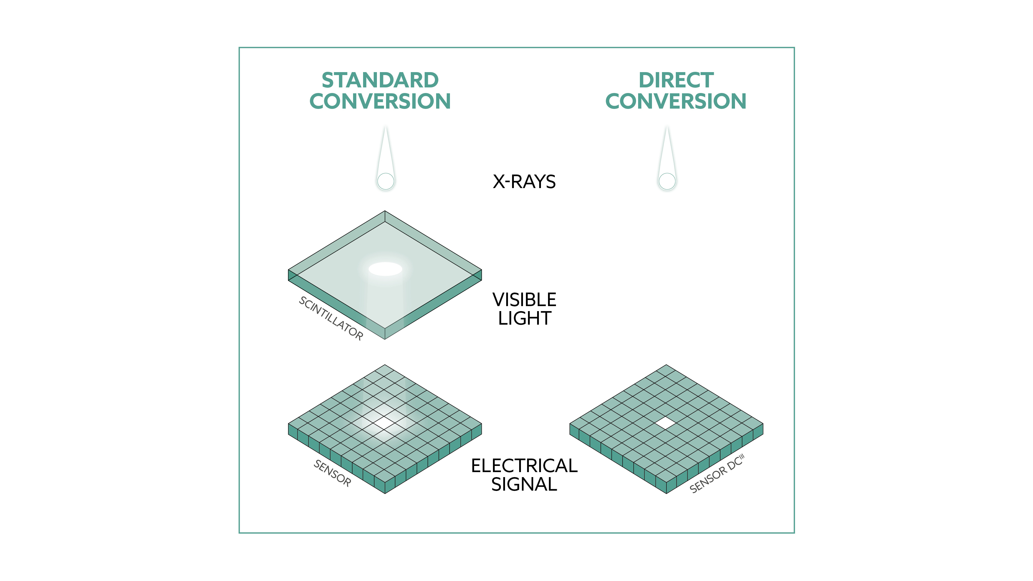 DCiS VET product image 1